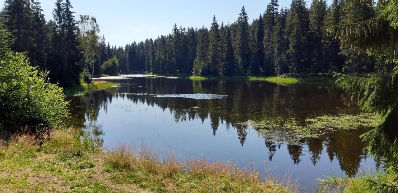 Penzion Jizerska Malina Bedřichov Exteriör bild
