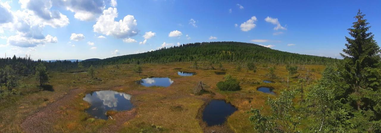 Penzion Jizerska Malina Bedřichov Exteriör bild
